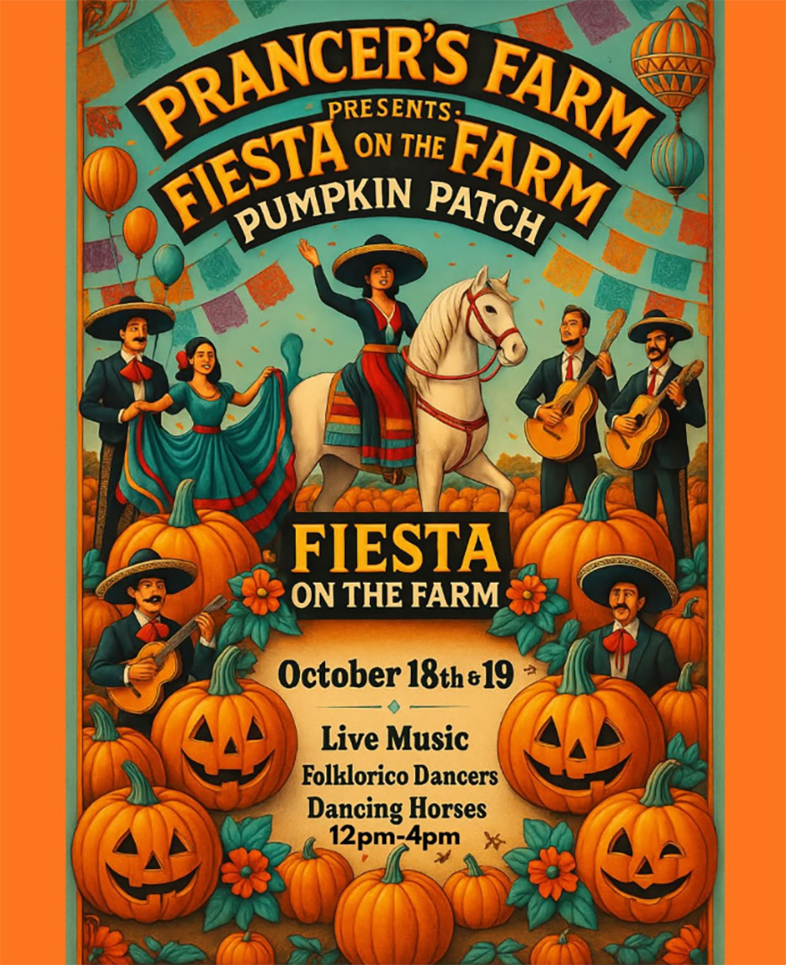 Fiesta en la Granja!