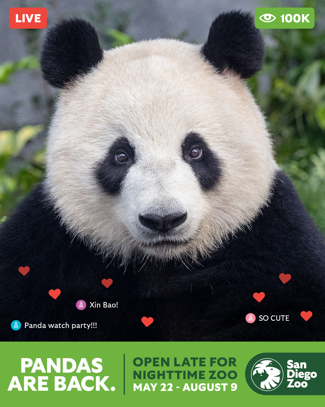 Gana Entradas para San Diego Zoo