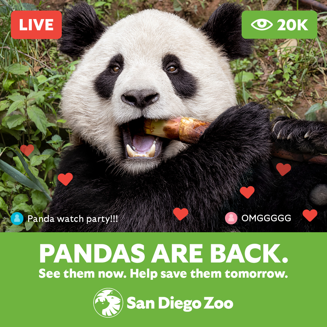 Gana Entradas para San Diego Zoo